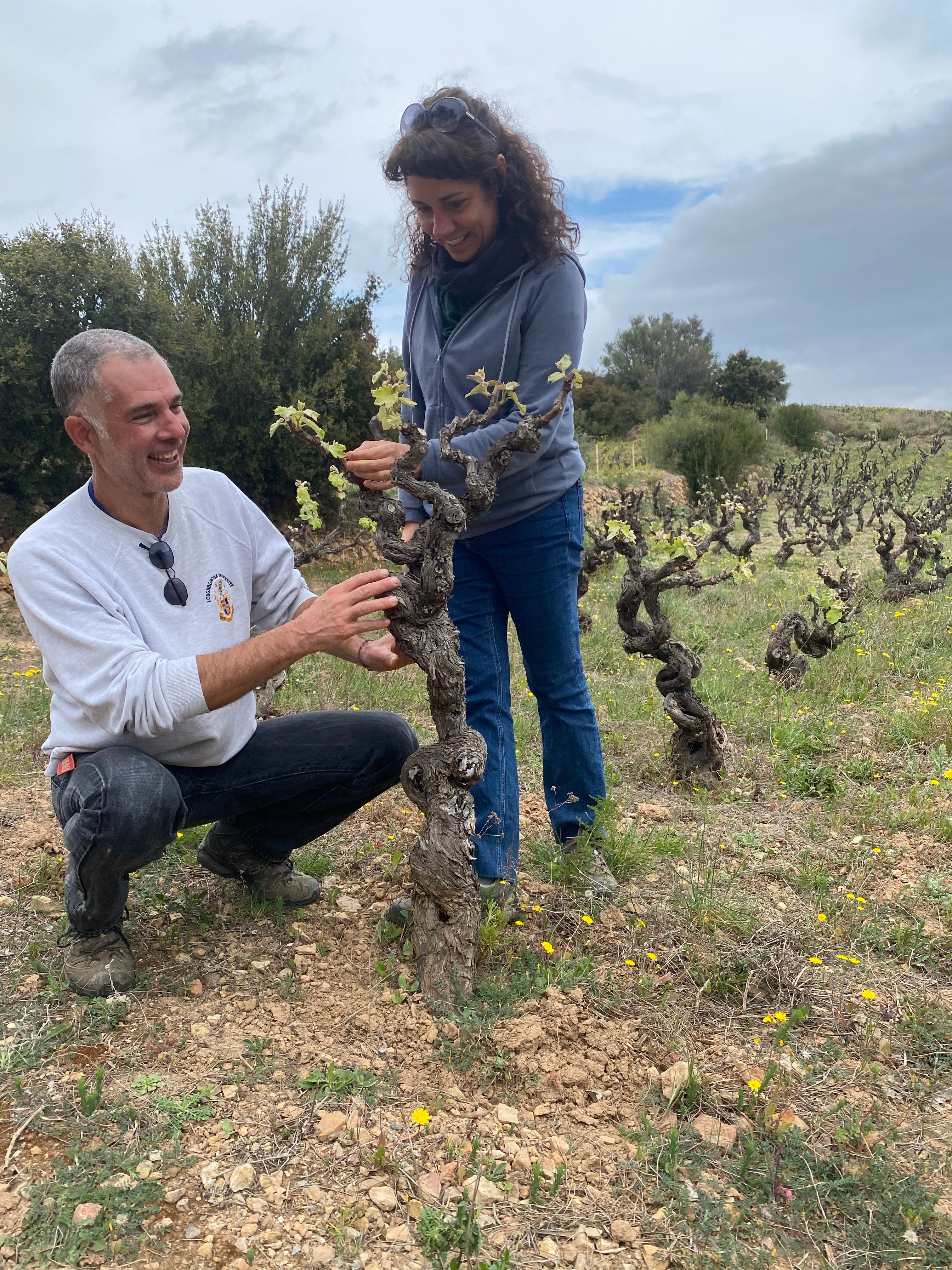 Babel 2019 | SOMA VINES
